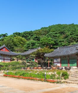 Travel and tourism companies